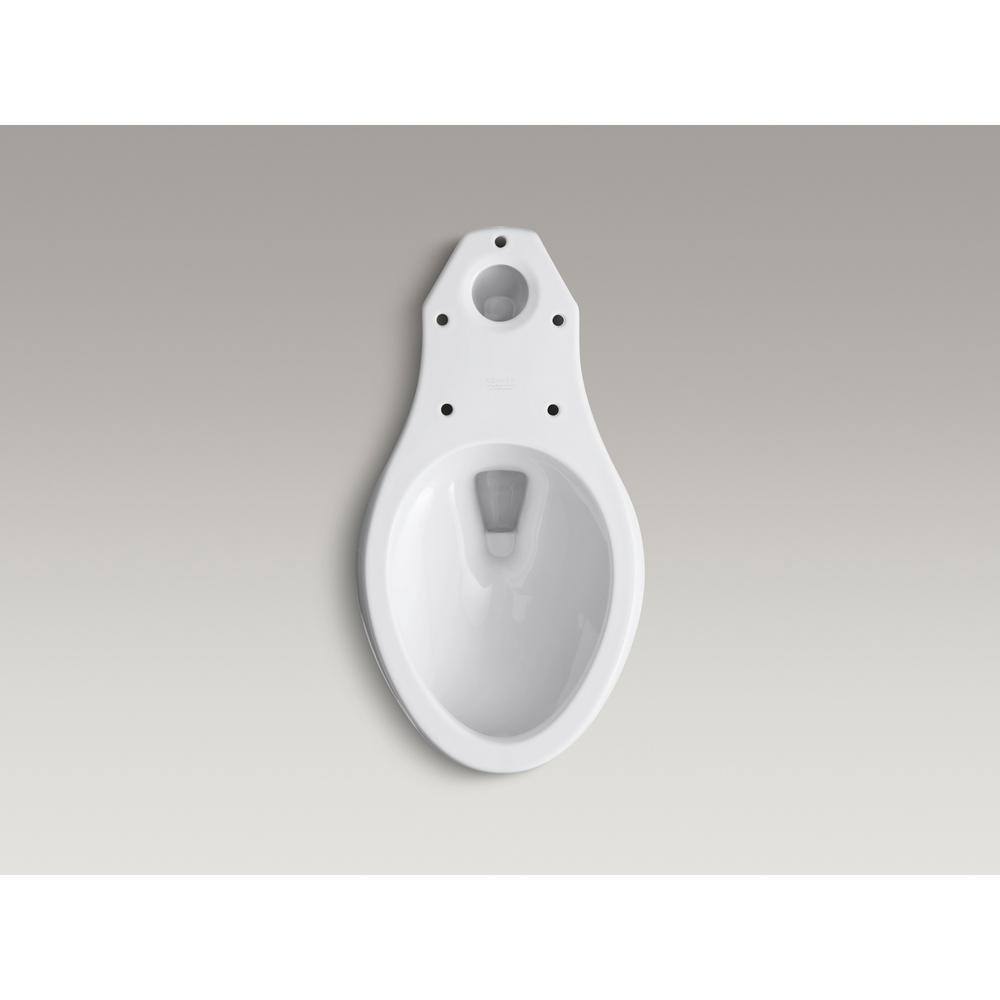 White High Efficiency Elongated One-Piece Toilet with Chrome Lever