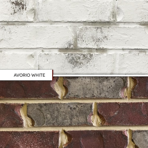 ROMABIO - 0.67 Gal. Avorio White Limewash Interior/Exterior Paint