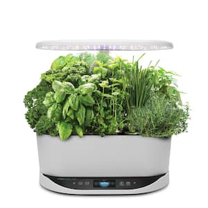 Indoor Garden with LED Grow Light 6-pod WiFi and Alexa Compatible AeroGarden Bounty Black & Heirloom Salad Greens Seed Pod Kit 