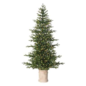 6.5 ft Fir LED Pre-Lit Potted Artificial Christmas Tree with 300 Warm White Mini Lights