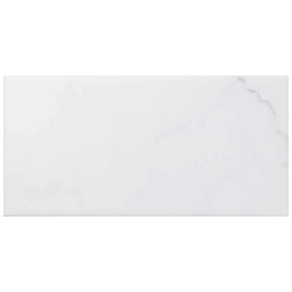 Merola Tile Classico Carrara Matte 3 in. x 6 in. Ceramic Wall Tile (686
