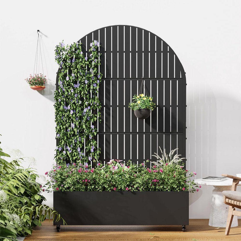 Lirago 72 in. H x 47 in. W Arch Black Outdoor Metal Privacy Screen