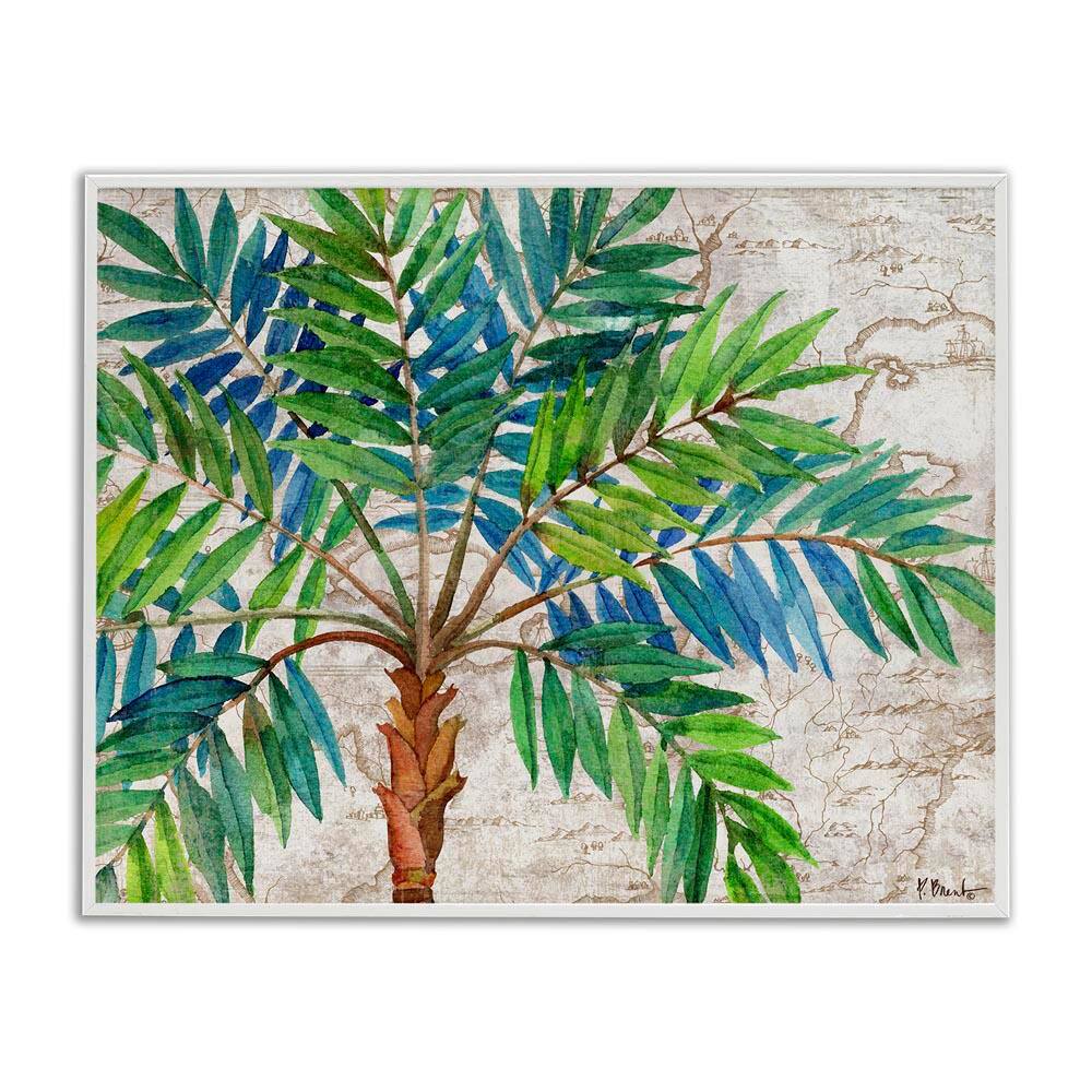 Aqueous Palm Tree by Paul Brent White Framed Nature Giclee Art Print 11 in. x 14 in. price history on PriceWatchPro