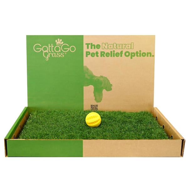 Unbranded Gotta Go Grass Bermuda Refill Plus Toy Ball
