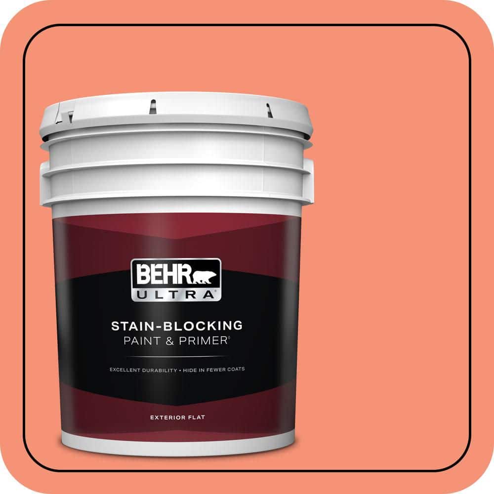 5 gal. #200B-5 Indian Dance Flat Exterior Paint & Primer price history on PriceWatchPro