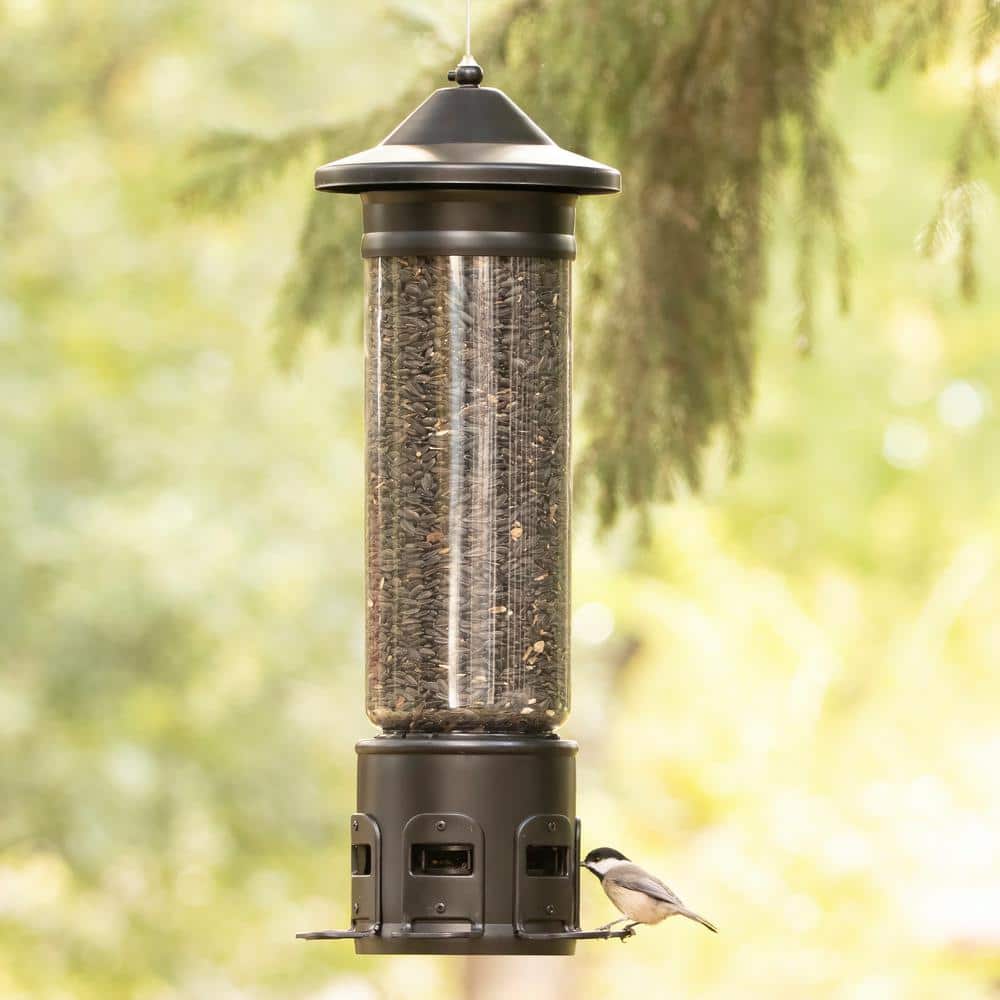 Black Metal and Plastic Squirrel Resistant Hanging Tube Feeder