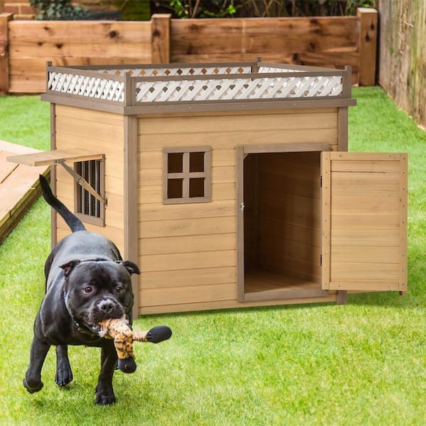 dog house with feeder