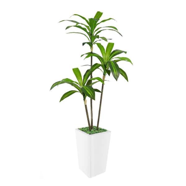 HOMEIBRO 5 ft. Artificial Dracaena Tree in Pot with Realistic Leaves & Natural Wood Trunk