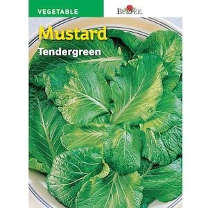 Mustard Tender-Green Seed