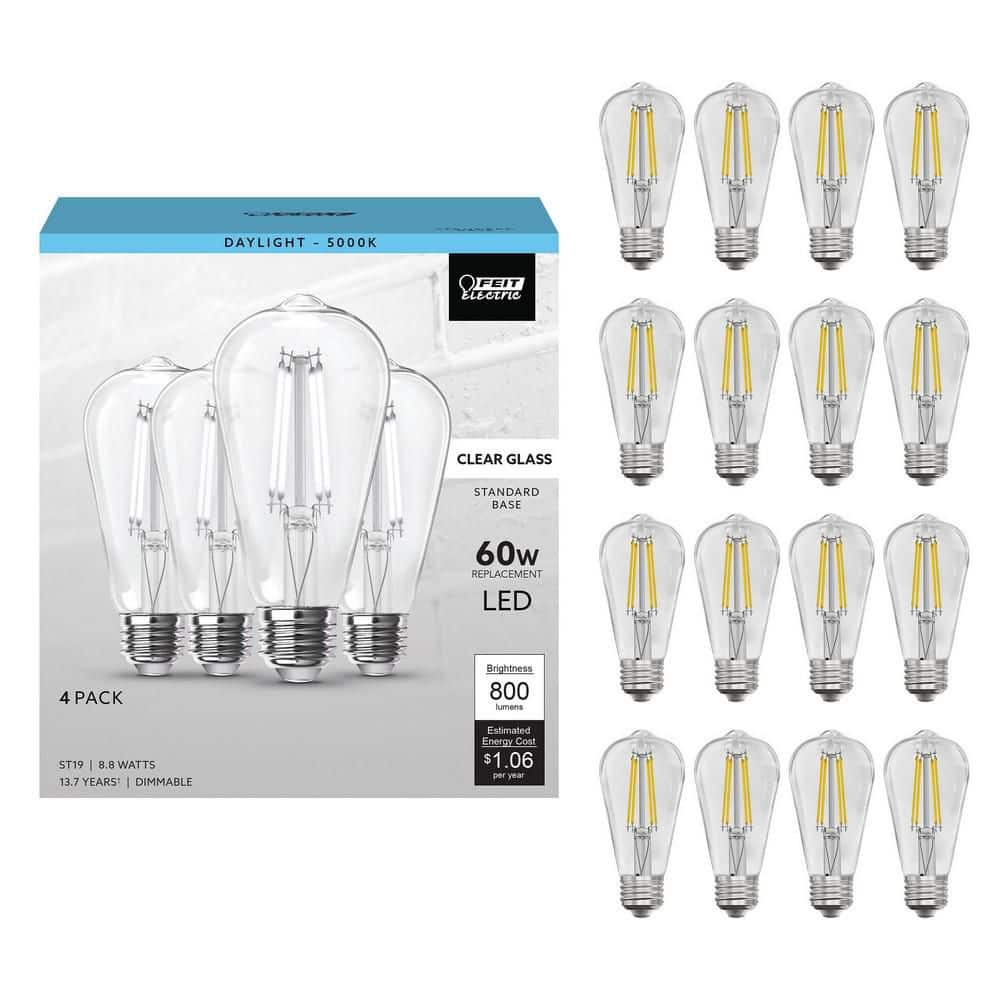 Feit Electric 60-Watt Equivalent ST19 Dimmable Cage Filament Clear