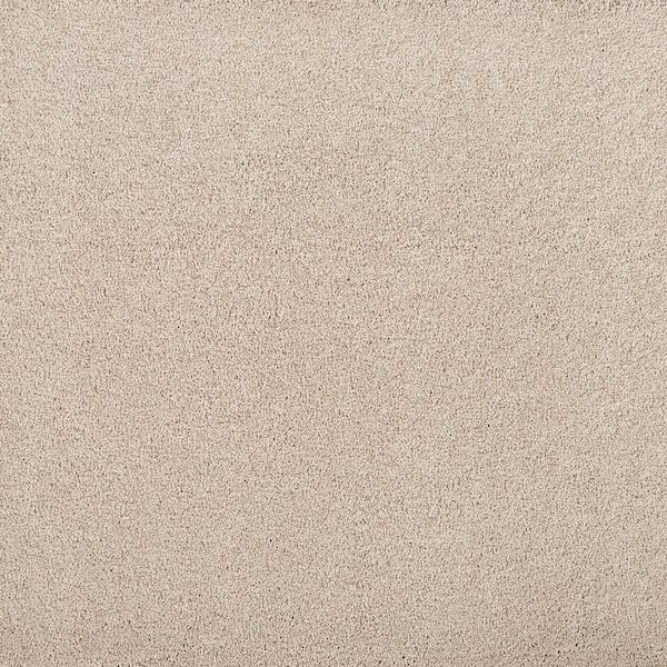 Hainsridge Truffle- Brown 68 oz. Triexta Texture Installed Carpet