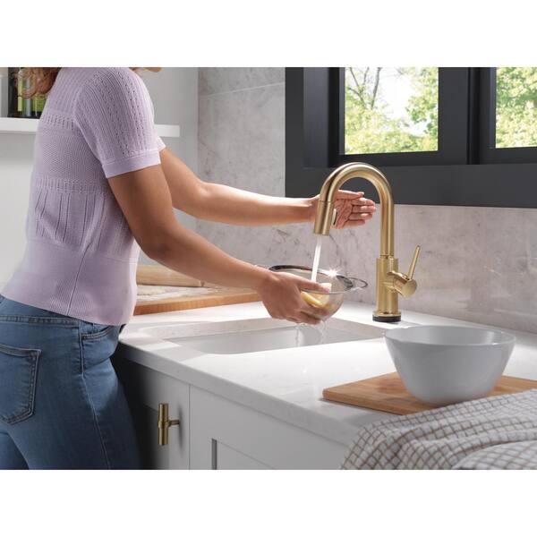 Delta Trinsic Gold Touch2O with Touchless Technology Single Handle