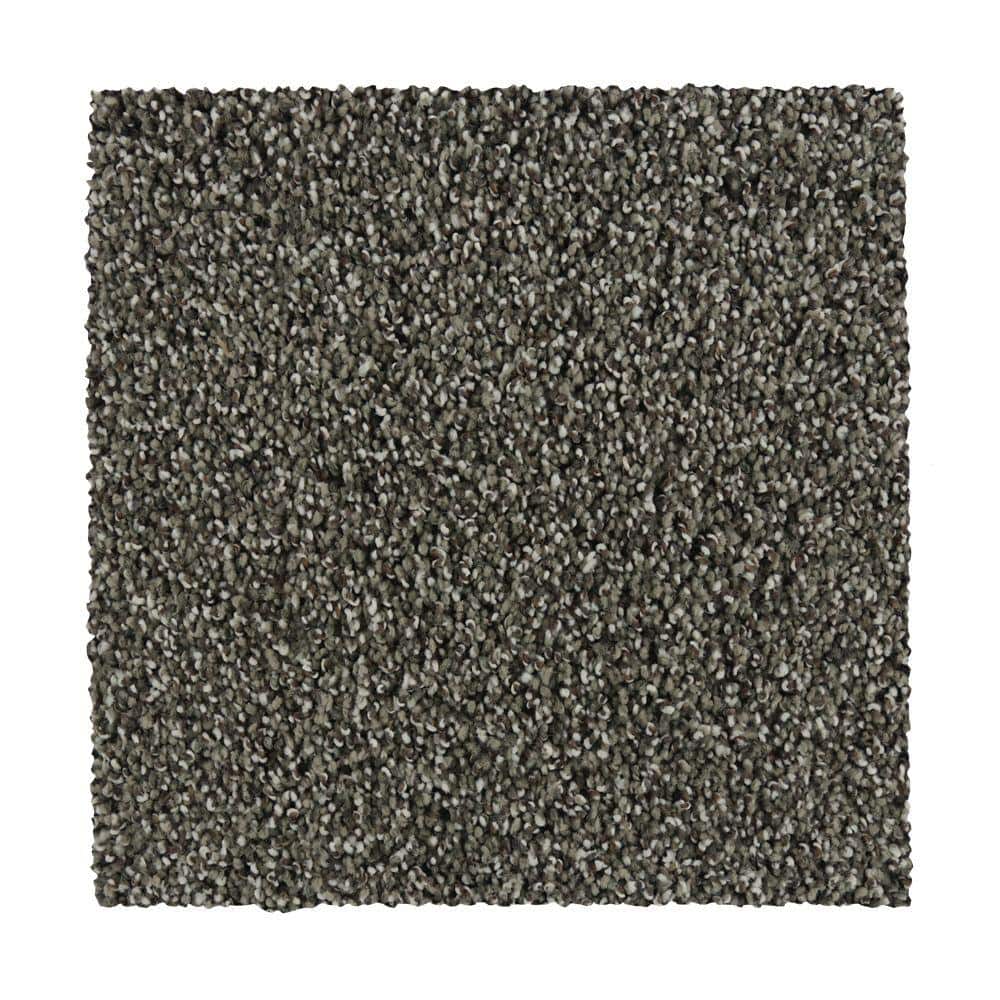 8 in. x 8 in. Texture Carpet Sample - Batesfield - Color Notion price history on PriceWatchPro