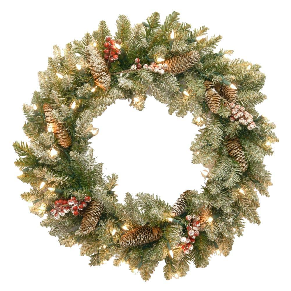 National Tree Company Dunhill Fir 24 In. Artificial Wreath With Clear ...