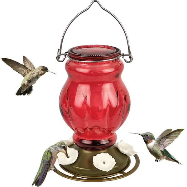 Ruby Visions Antique Glass Hummingbird Feeder 25 oz