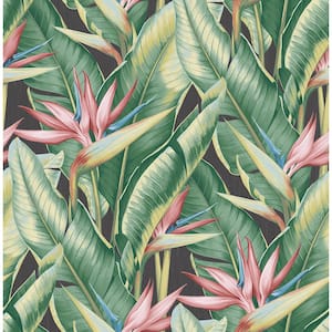 Arcadia Pink Banana Leaf Pink Wallpaper Sample