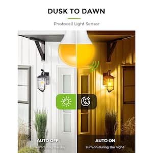 6-Watt, 40-Watt Equivalent 2000K A19 Dusk to Dawn Outdoor Bug Light Yellow LED Light Bulb(4-Pack)