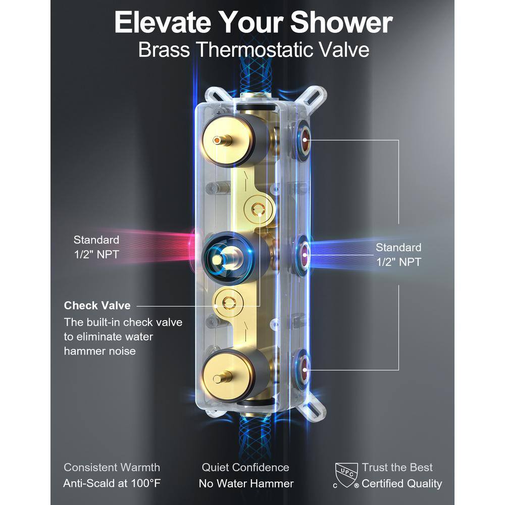 Matte Black Dual Shower Head System with Handheld and Jets