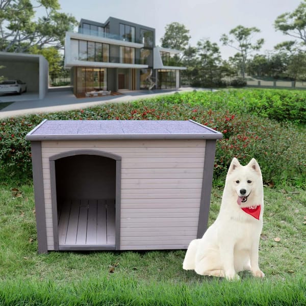 Winter dog outlet kennel