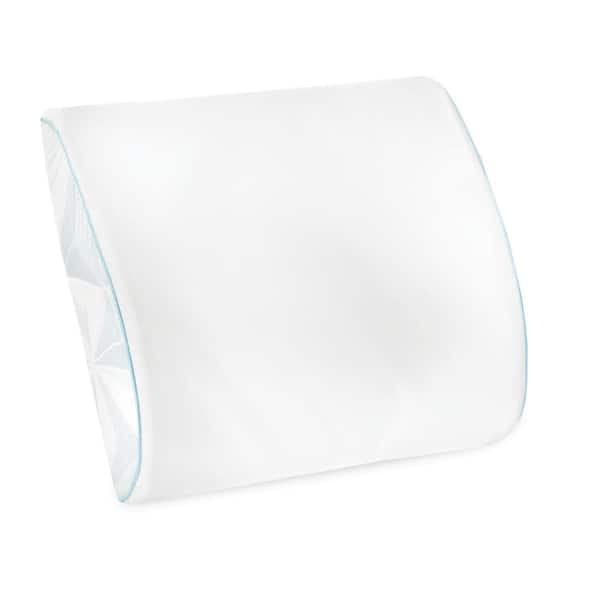 Shop Memory Foam Back Cushion - Designed For – Luggage Factory