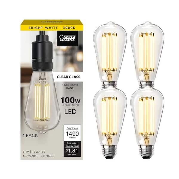 Feit Electric 100-Watt Equivalent ST19 Dimmable Cage Filament