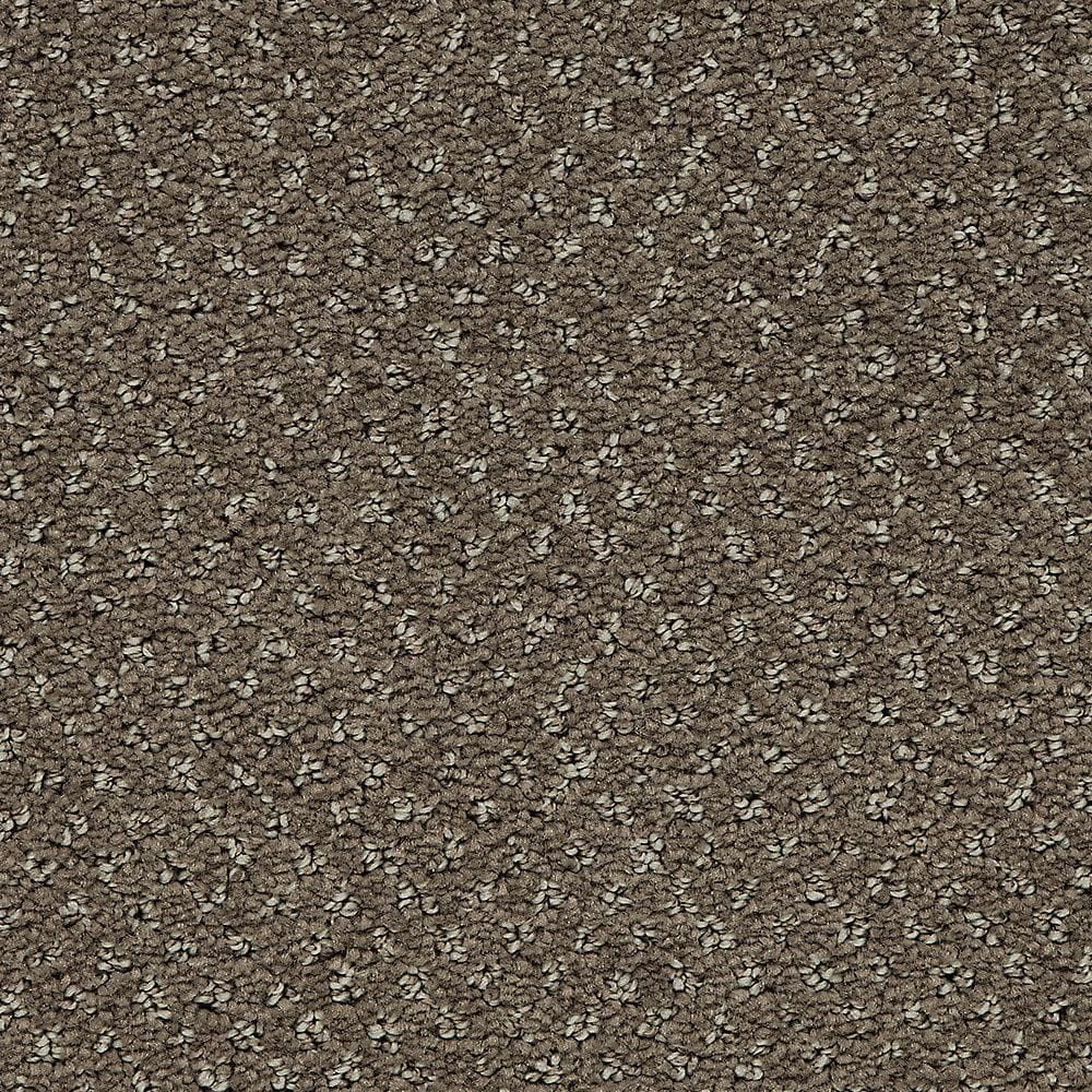 8 in. x 8 in. Pattern Carpet Sample - Pretty Penny -Color Brindle price history on PriceWatchPro