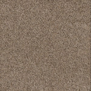 Dream Wish - Pursue - Beige 32 oz. SD Polyester Texture Installed Carpet