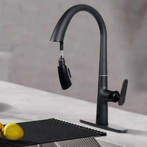 Dual Induction Single Handle Standard Kitchen Faucet in Matte Black