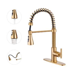 Single-Handle Pull Down Sprayer Kitchen Faucet with Power Clean Multi-Function Spray in Brushed Gold