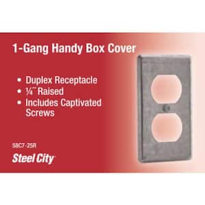 Metallic Handy Box Duplex Cover