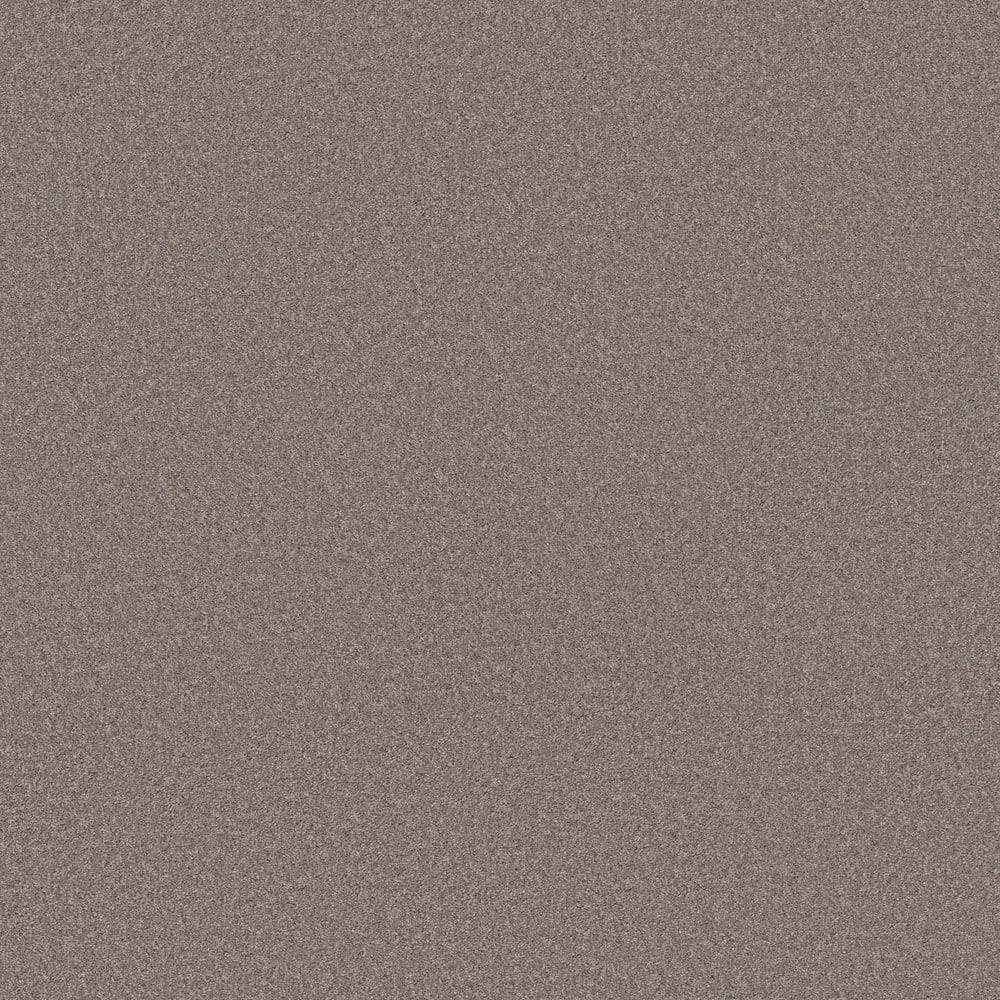 8 in. x 8 in. Texture Carpet Sample - Sculpture Soft II - Color Twig price history on PriceWatchPro