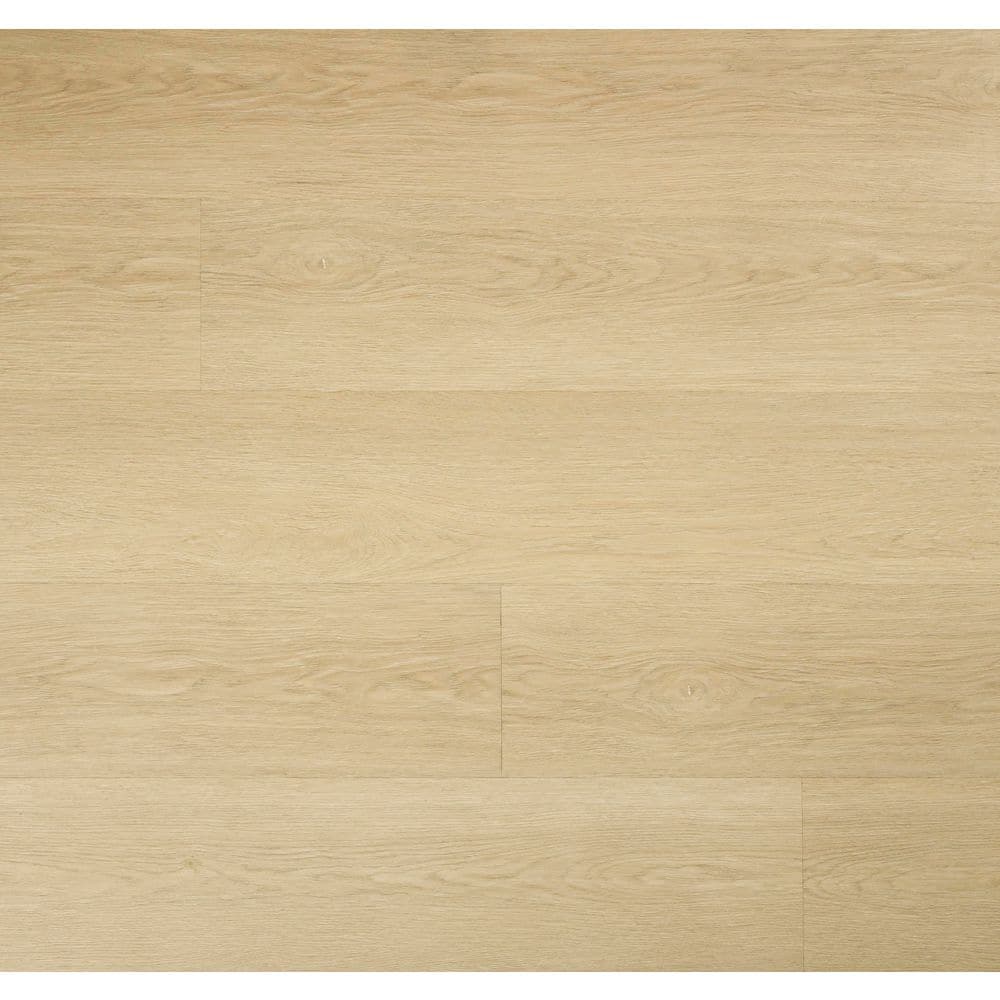 Take Home Sample-Wild Blonde 9 in. W x 9 in. L Waterproof Click Lock Luxury Vinyl Plank Flooring price history on PriceWatchPro