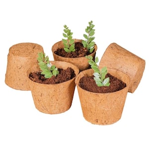 Coco Grow Cups 6 in. Coir Planter Pots (5-Pack)
