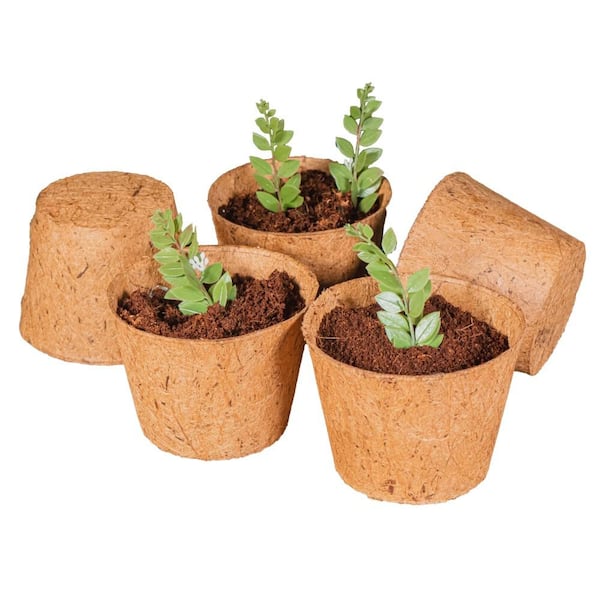 Envelor Coco Grow Cups 6 in. Coir Planter Pots (5-Pack)