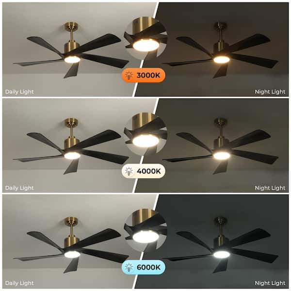 skk._.i☘️ TOZING 52 in. LED Smart Indoor Modern Black Gold 5-ABS