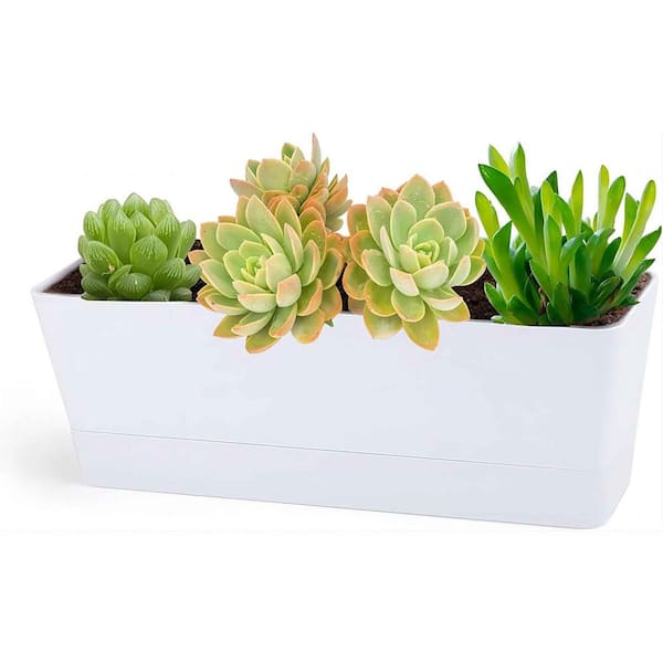 3 Pieces Metal Herb Potted Planter Tray Set Included 96 Piece