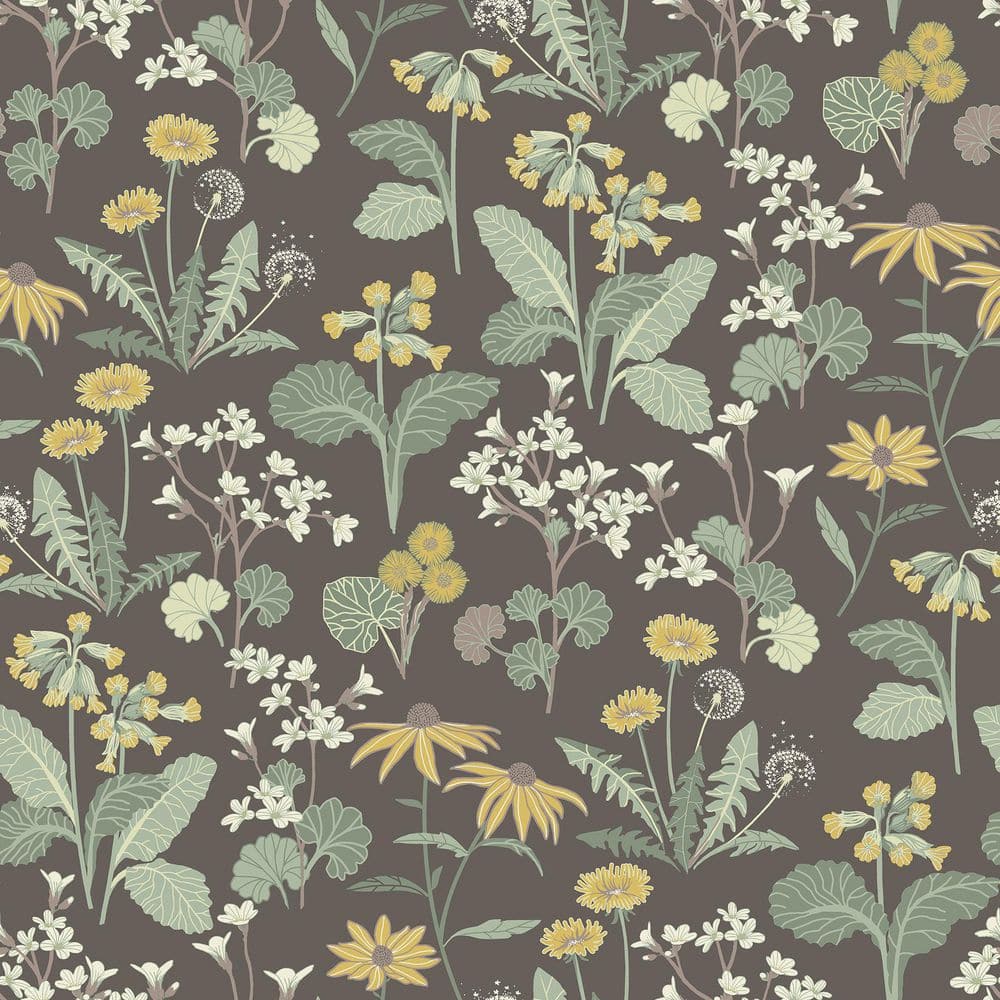 Magdalena Charcoal Dandelion Wallpaper - Grey - A-Street Prints