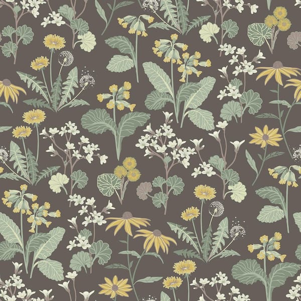 A-Street Prints Magdalena Black Dandelion Wallpaper Sample