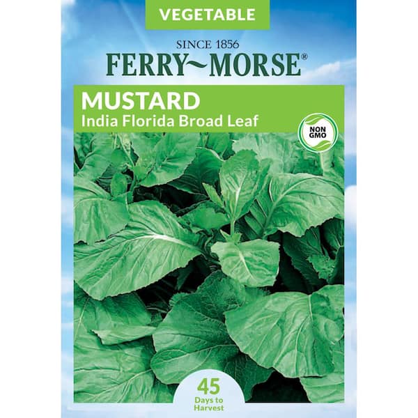 Ferry-Morse Mustard India Florida Broad Leaf Vegetable Seeds