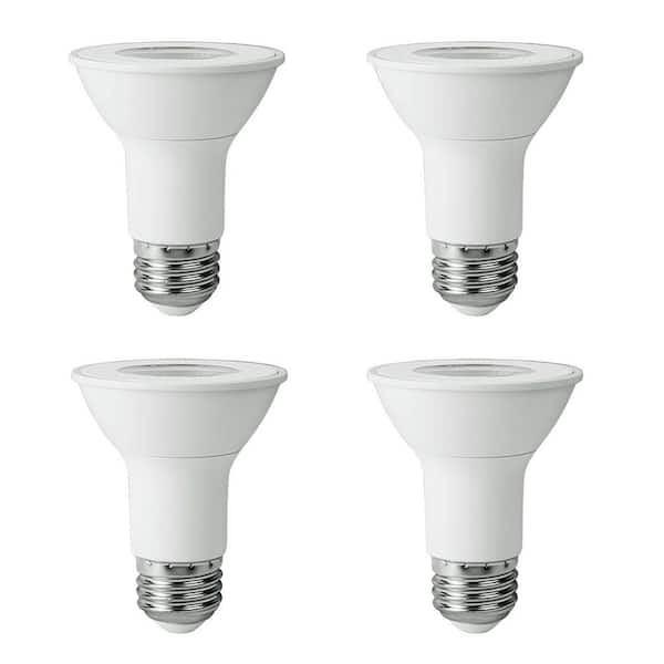 EcoSmart 50-Watt Equivalent PAR20 LED Flood Light Bulb, Bright White (4-Pack)