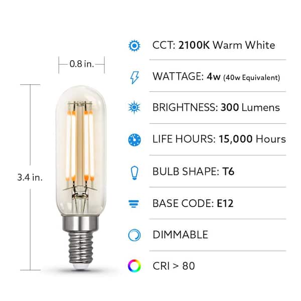 Feit Electric 40-Watt Equivalent T6 Dimmable Straight Filament Clear Glass  E12 Candelabra Vintage LED Light Bulb, Warm White (12-Pack)  T640CLVG/LEDHDRP/4/3 - The Home Depot