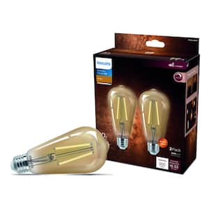 40-Watt Equivalent ST19 Straight Filament E26 Base LED Vintage Edison LED Light Bulb 2000K Amber (2-Pack)