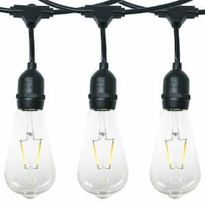 15 Light 48 ft. Outdoor Plug-in LED Giant Edison Bulb String Light