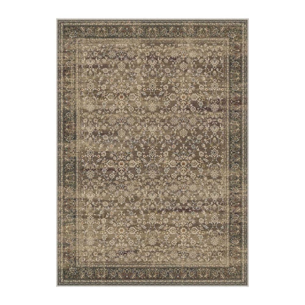 Secret Garden Brown Vintage 8 ft. x 10 ft. Distressed All Over Design Area Rug price history on PriceWatchPro