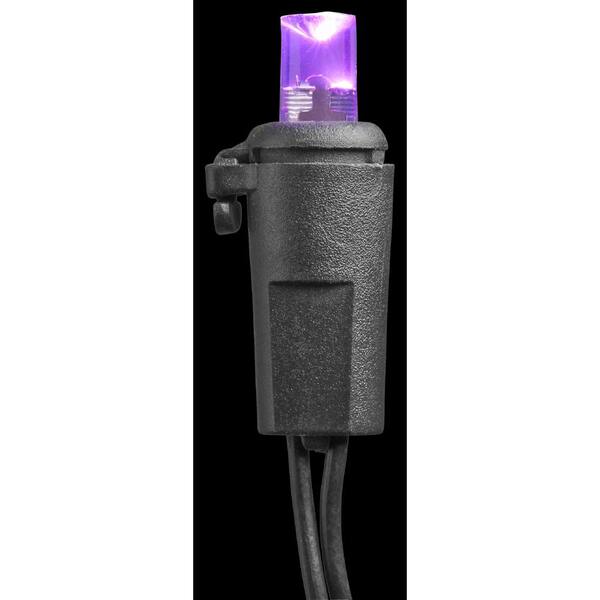 Home Accents Holiday 20-Light LED Purple Concave Battery Operated Light Set