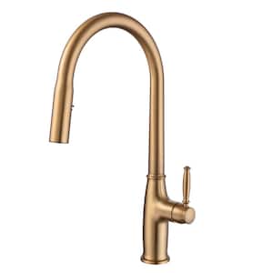 Single Handle Pull Down Sprayer Kitchen Faucet with Advanced Spray, Pull Out Spray Wand in Brushed Gold