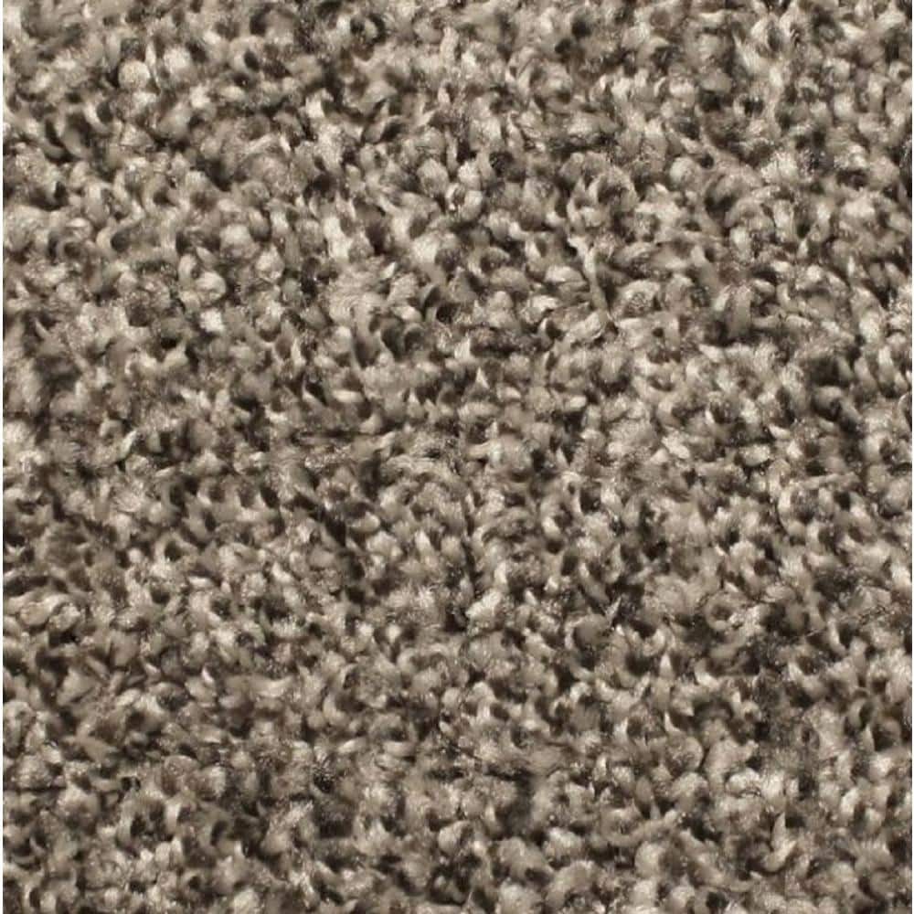 8 in. x 8 in. Texture Carpet Sample - Lake View -Color Dovetail price history on PriceWatchPro