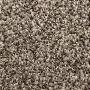 8 in. x 8 in. Texture Carpet Sample - Lake View -Color Dovetail