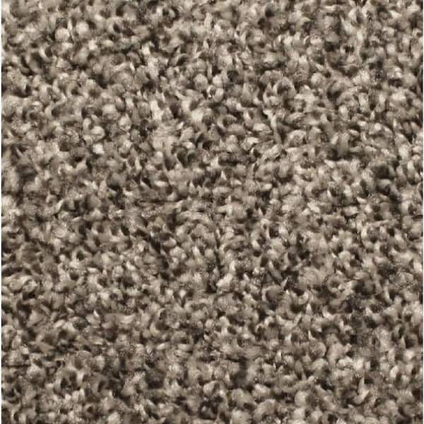 Lake View - Dovetail Brown - Multi-Colored 12 ft. Wide x Cut to Length 18 oz. Polyester Texture Carpet