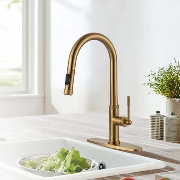 Single Handle Pull Down Sprayer Kitchen Faucet with Advanced Spray in Brushed Gold